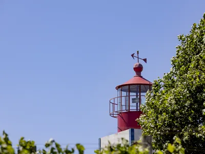 O farol vermelho e branco da Villa, visto do meio das parreiras